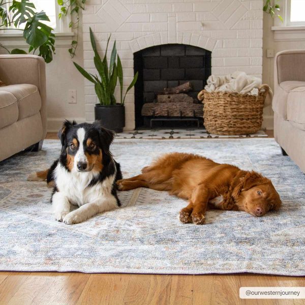Afya Washable Area Rug For Discount - Image 3